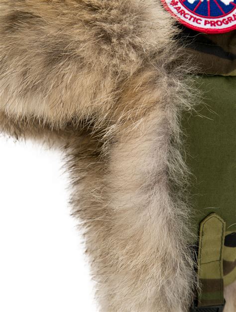 trappers similar to canada goose